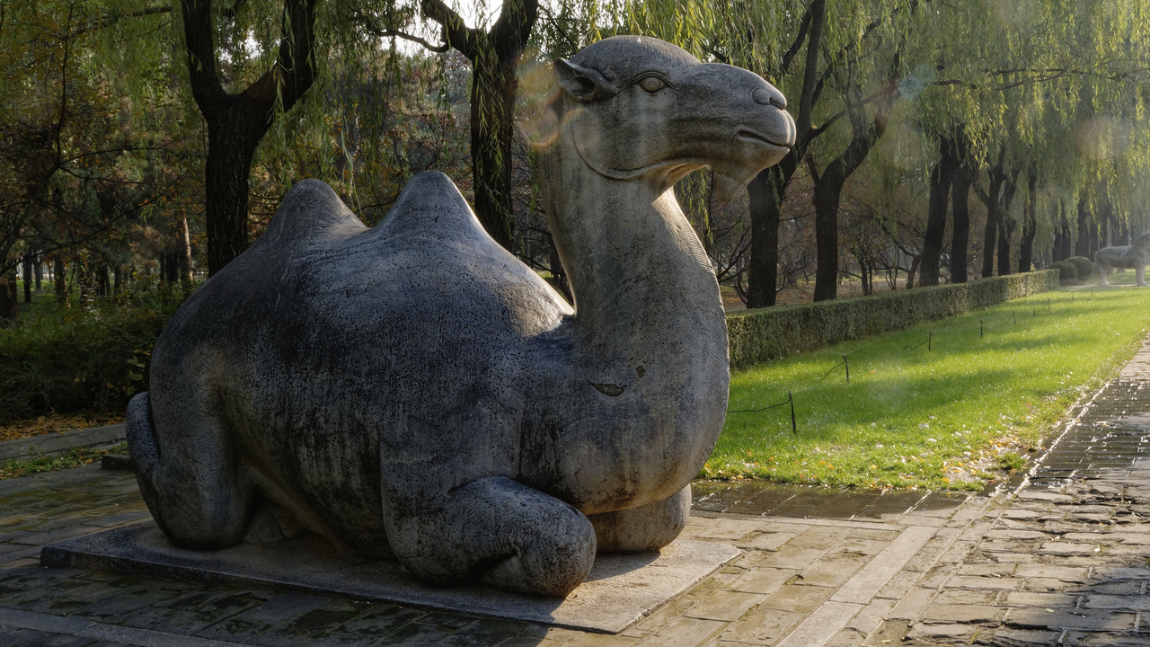 20161103 141520•Sacred Way•Changping District•Beijing•China